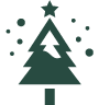 Retail sale of Christmas trees